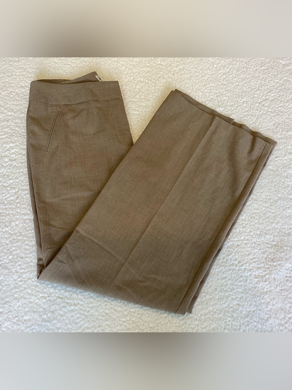 Chico’s Size 1 or US 8 Taupe Wide Leg Trousers Quiet Luxury Old Money Workwear